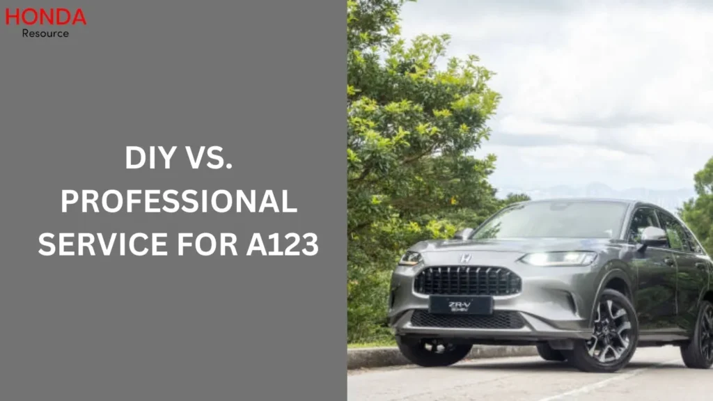 DIY vs. Professional Service for A123